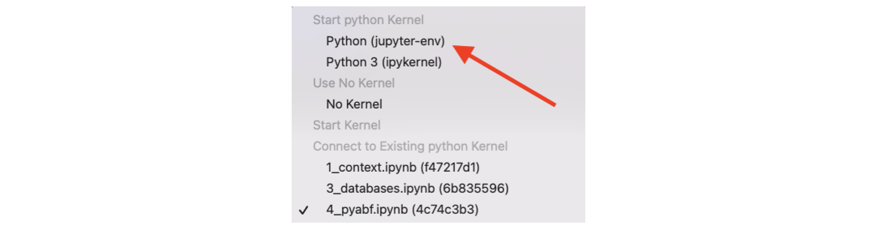 Select Kernel